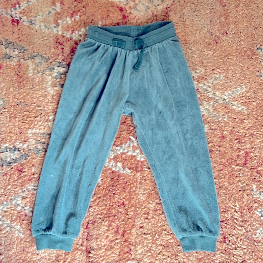 H&M toddler velour pants